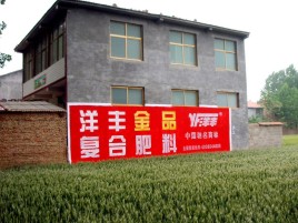 景洪如何让墙体广告展现最大化效果