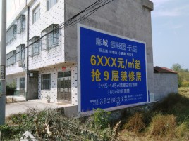景洪墙体广告质量分析
