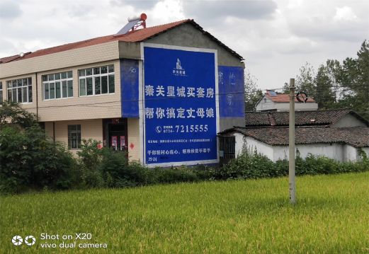 景洪决定墙体广告价格的因素有哪些？