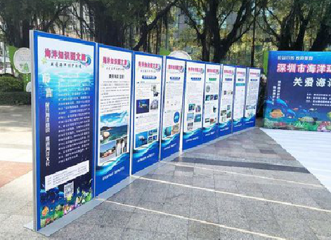 景洪KT板的种类和知识。